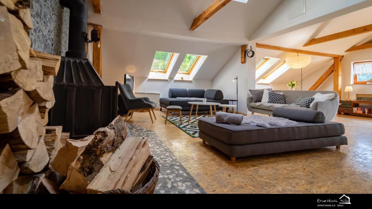 Apartment Ernestova Hisa Локве Экстерьер фото