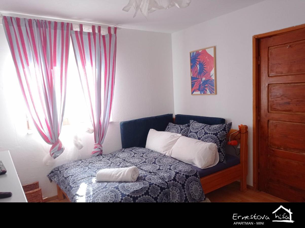 Apartment Ernestova Hisa Локве Экстерьер фото